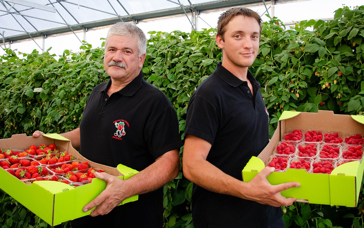 Le Paradis des Fraises Cœur Paysan Mulhouse